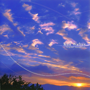 A久久96视频免费
